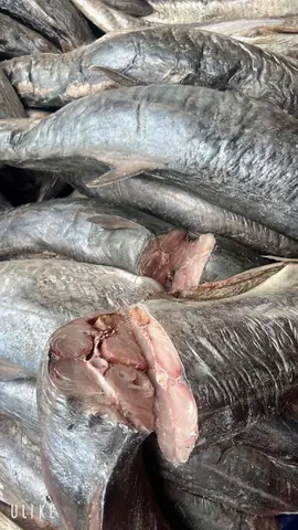 Mắm Cá Thu Nguyên Con: Đặc Sản Bổ Dưỡng Từ Biển Cả