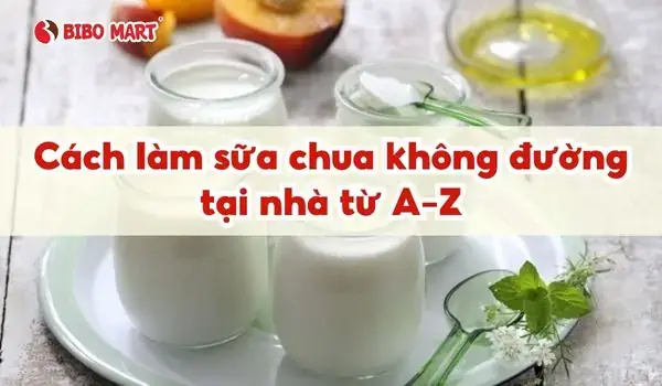 10 Công Thức Món Ngon Với Sữa Chua Không Đường Đơn Giản Tại Nhà
