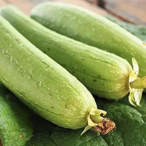 Mướp hương tươi ngon dùng để nấu canh