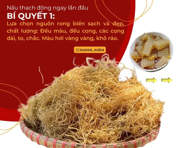 Nấu rau câu biển