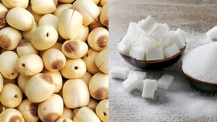 Nguyên liệu món chè hạt sen tươi