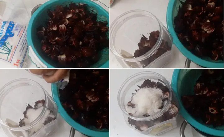 Nguyên liệu tươi ngon gồm hoa atiso đỏ, đường phèn, chanh và gừng