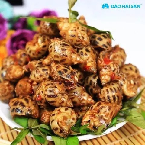Ốc hương tươi ngon