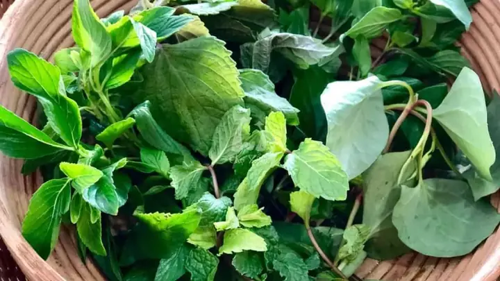 Rau Sống Ăn Bánh Xèo Là Gì? Cách Chọn Và Phục Vụ Đúng Chuẩn