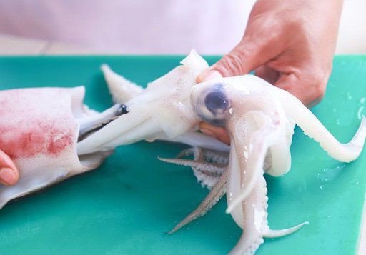 Sơ chế mực ống sạch sẽ, loại bỏ túi mực