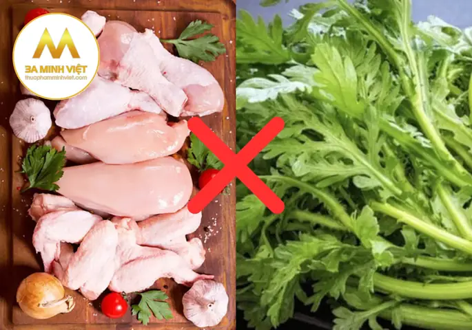 Thịt Gà Có Nấu Với Rau Dền Được Không?