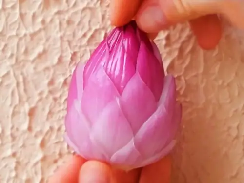 Hướng Dẫn Tỉa Hoa Từ Củ Hành Tím Đúng Cách