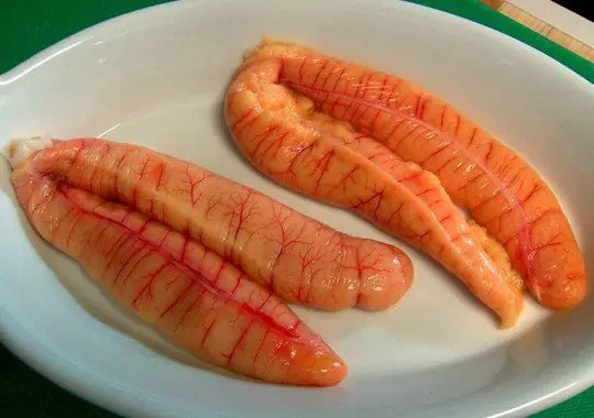 Trứng cá ngừ chiên giòn