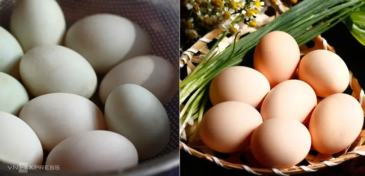 Trứng Gà Có Muối Được Không? Phân Tích An Toàn Và Cách Ăn Đúng