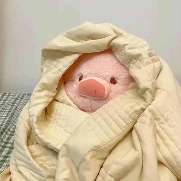 Gợi ý 88+ ảnh cute vô tri siêu đáng yêu thích hợp làm avatar