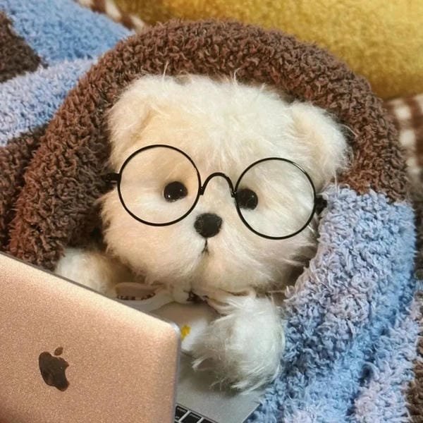 ảnh cute vô tri