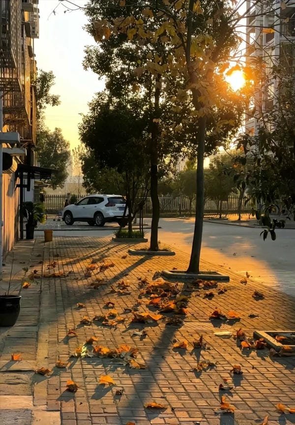 88+ Ảnh mùa thu chill cực cuốn dành cho tín đồ yêu thiên nhiên ảnh mùa thu 27