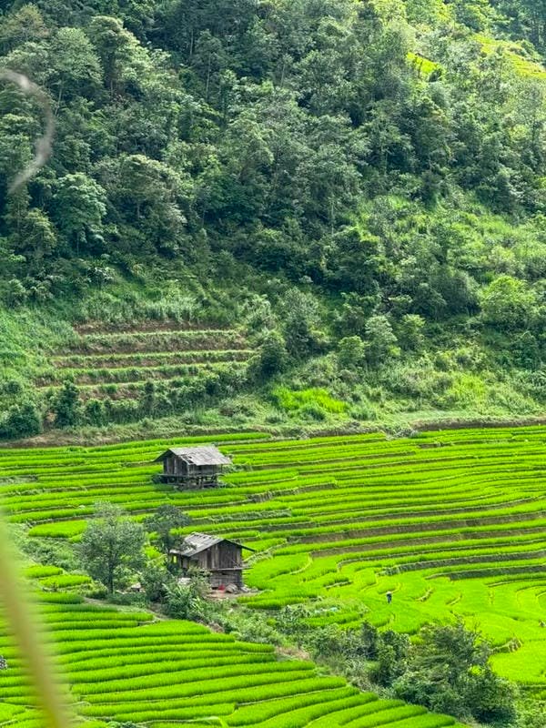 Chiêm ngưỡng 66+ ảnh Sapa cực chill ngắm cảnh đẹp không thể rời mắt ảnh sapa 21