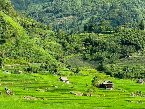 Chiêm ngưỡng 66+ ảnh Sapa cực chill ngắm cảnh đẹp không thể rời mắt ảnh sapa 24