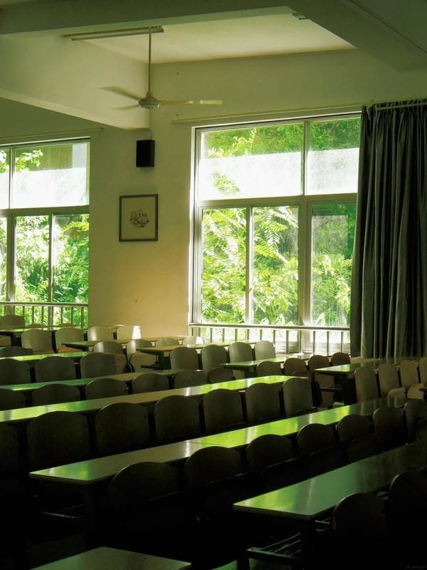 ảnh trường học xanh 1