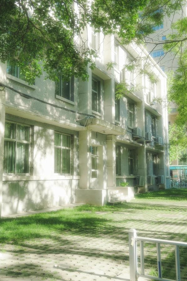 ảnh trường học xanh 11