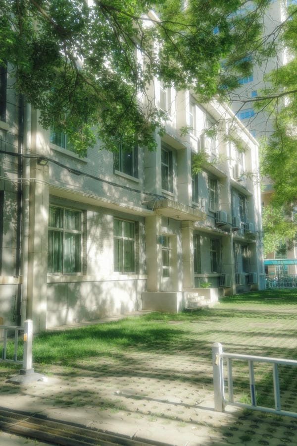 ảnh trường học xanh 12