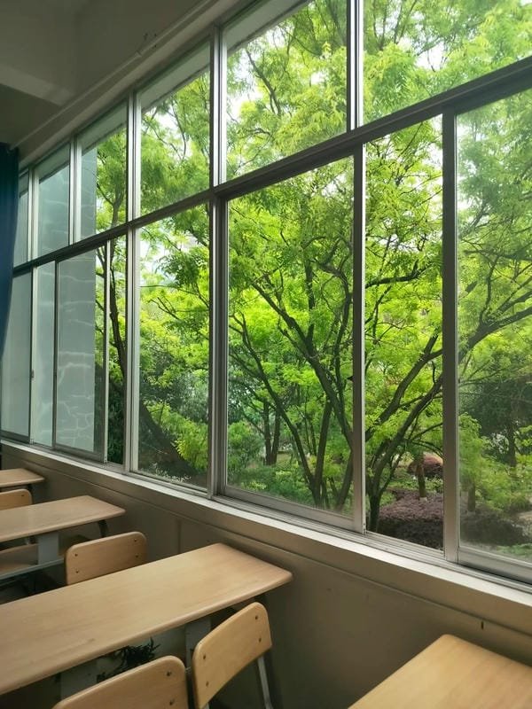 ảnh trường học xanh 2