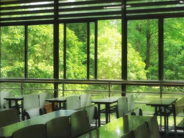 ảnh trường học xanh 23