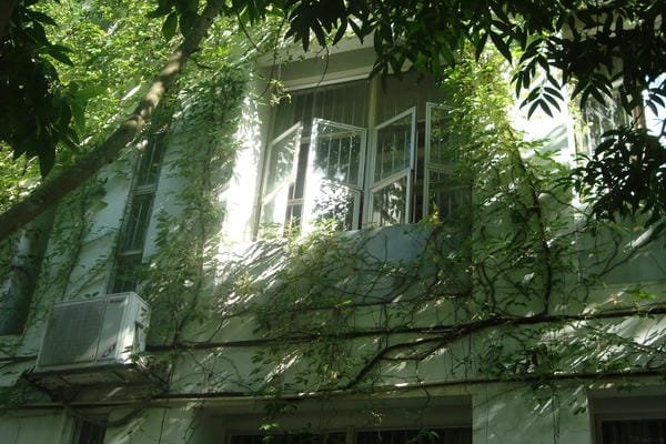 ảnh trường học xanh 4