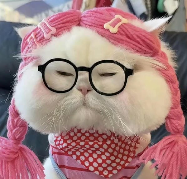 ảnh vô tri dễ thương 24