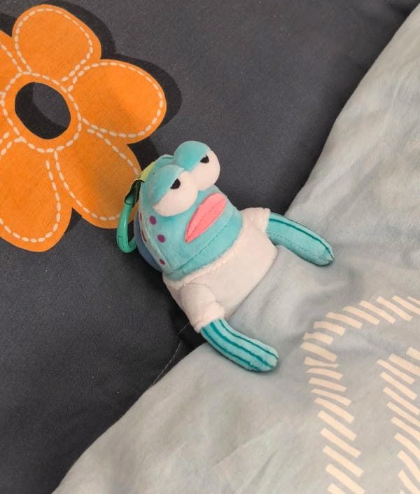 Chiêm ngưỡng 99+ ảnh buồn cười độc lạ mang đến những phút giây giải trí hình ảnh buồn cười