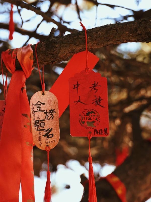 hình ảnh may mắn và thành công 31