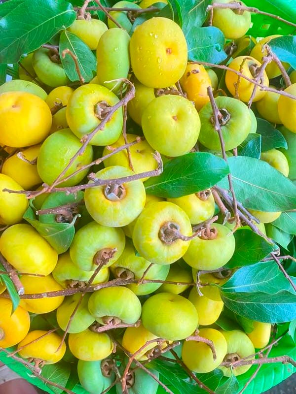 hình ảnh quả thị đẹp 10
