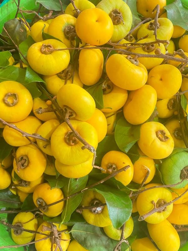hình ảnh quả thị đẹp 14