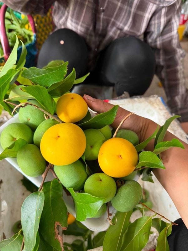 hình ảnh quả thị đẹp 22