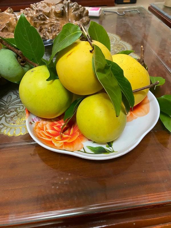 hình ảnh quả thị đẹp 33