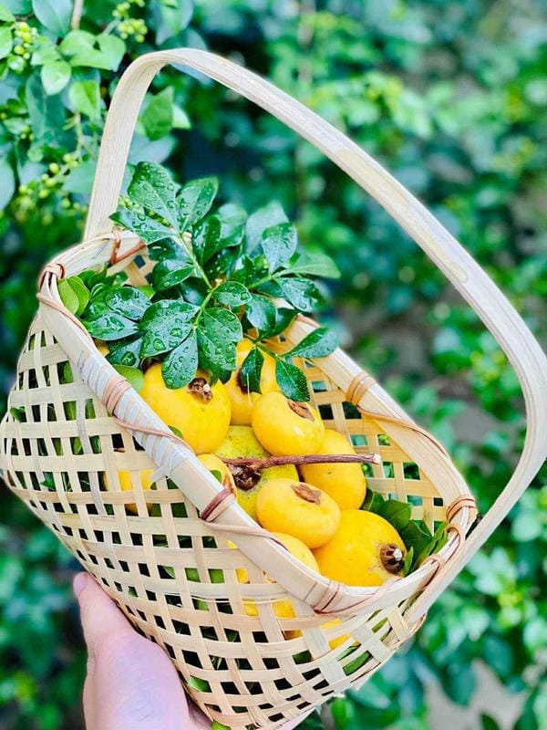 hình ảnh quả thị đẹp 5