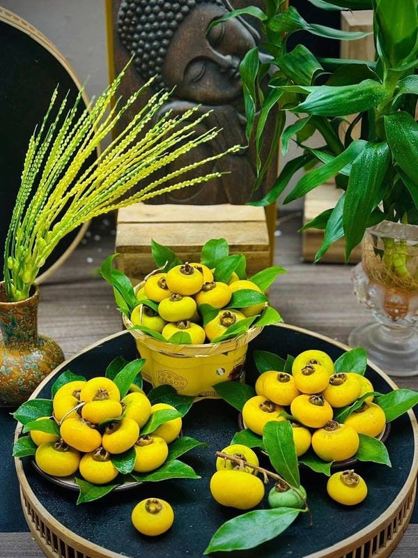 hình ảnh quả thị đẹp 9