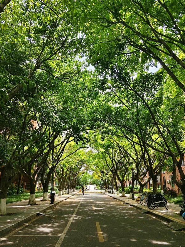 hình ảnh trường học xanh sạch đẹp