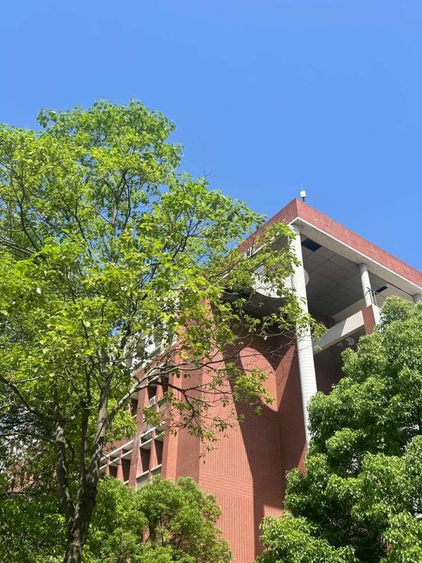 hình ảnh trường học xanh
