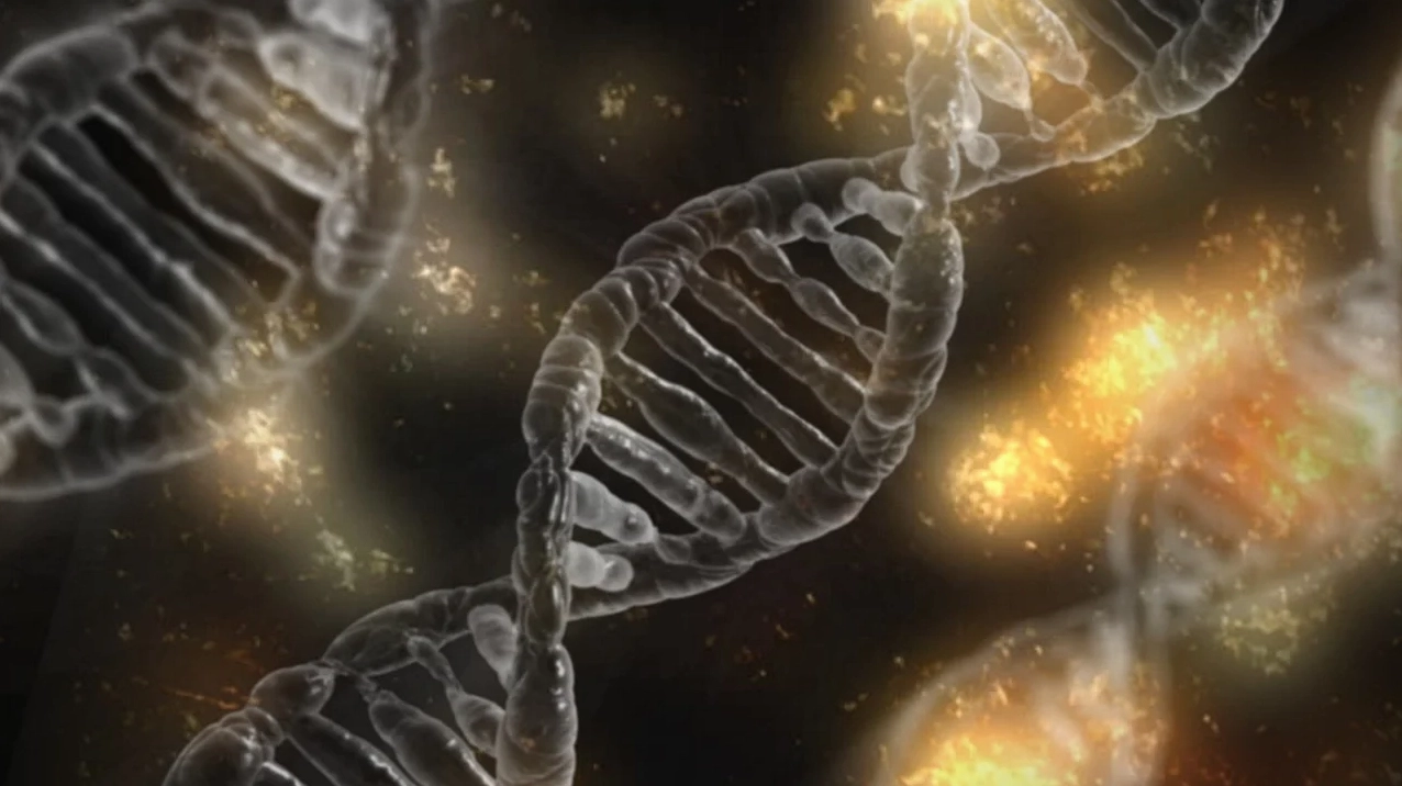 Cấu trúc DNA, sinh học của loài thực vật thông minh
