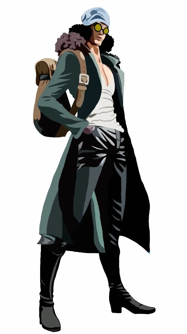 Aokiji là Ai? Giải Mã Bí Ẩn Cựu Đô Đốc Băng Giá Mạnh Nhất One Piece Khoảnh khắc đáng nhớ giữa garp aokiji trong One Piece