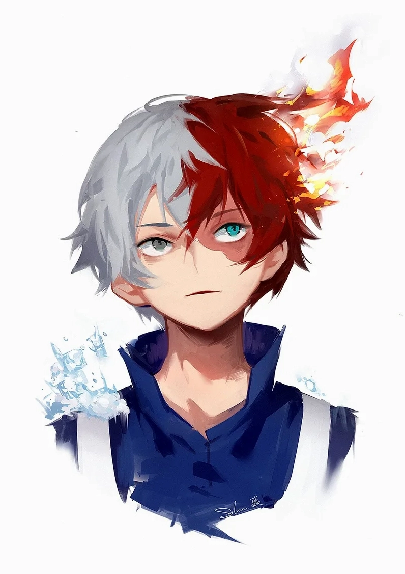 Shoto Todoroki Là Ai? Giải Mã Sức Mạnh Băng Lửa Của Anh Hùng My Hero Academia Shoto là ai